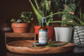 Hydrate AF Cream Cleanser