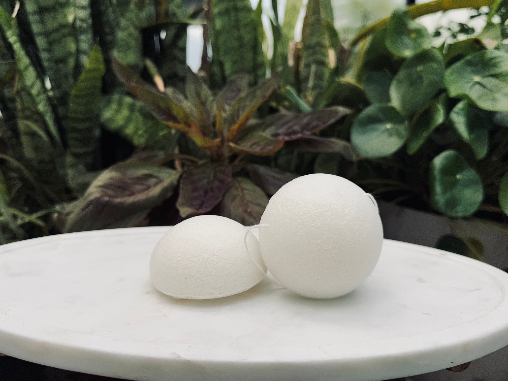 Konjac Sponge
