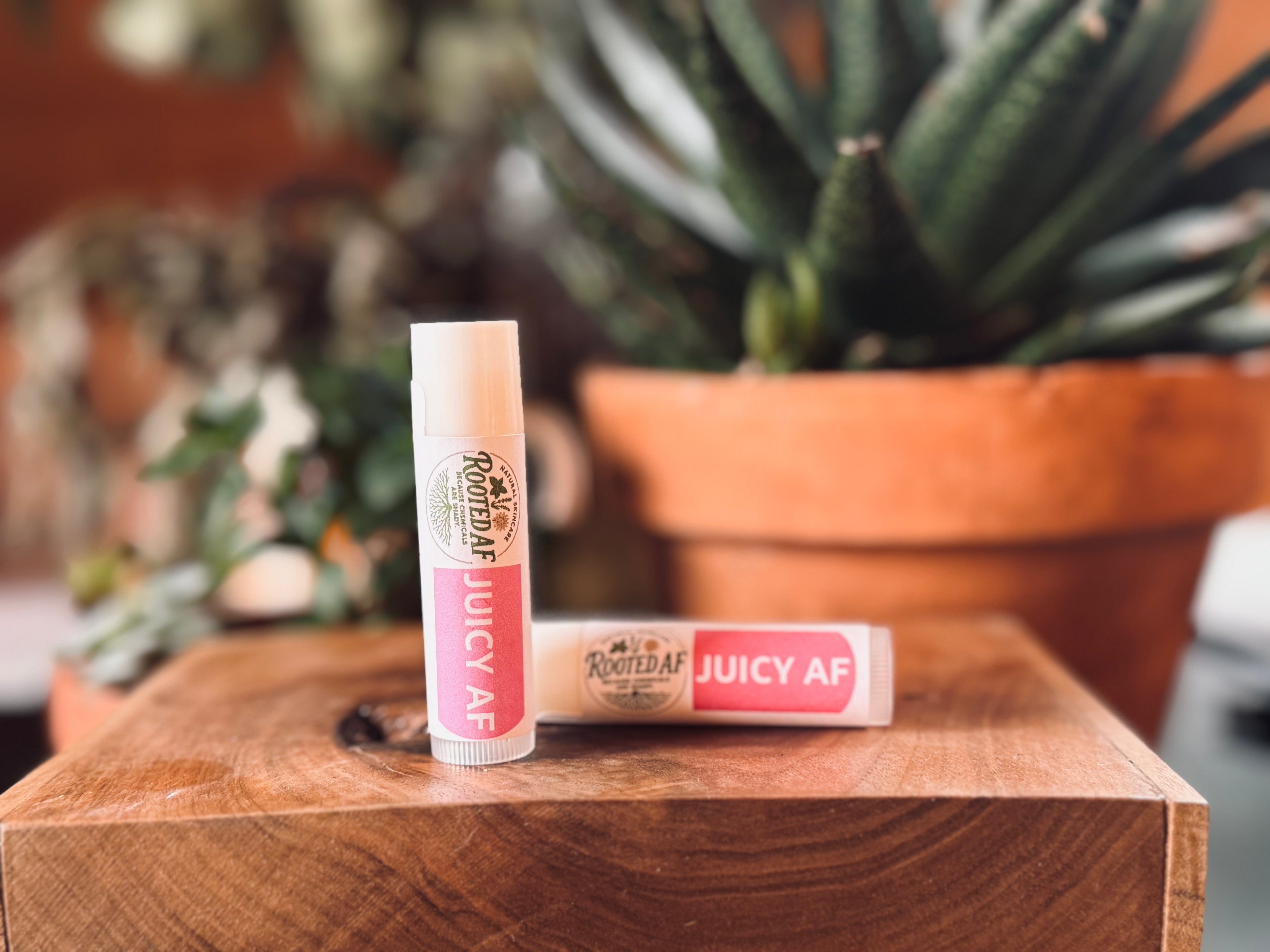 Chap stick Collection