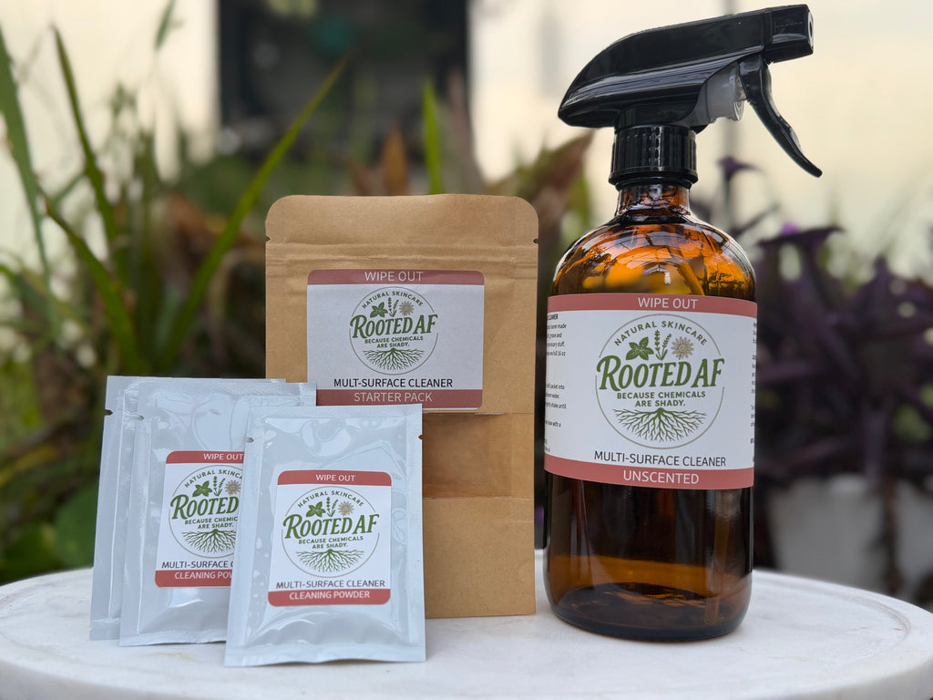 Wipe Out Multi-Surface Cleaner Starter Kit