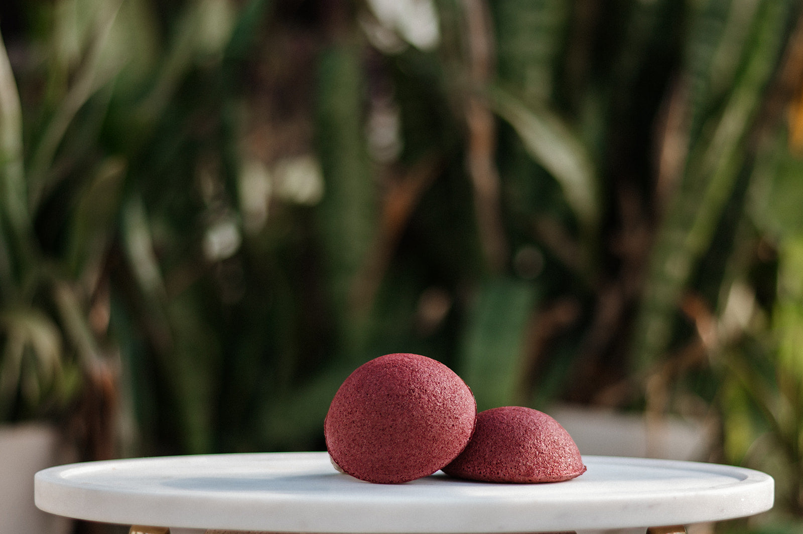 Konjac Sponge