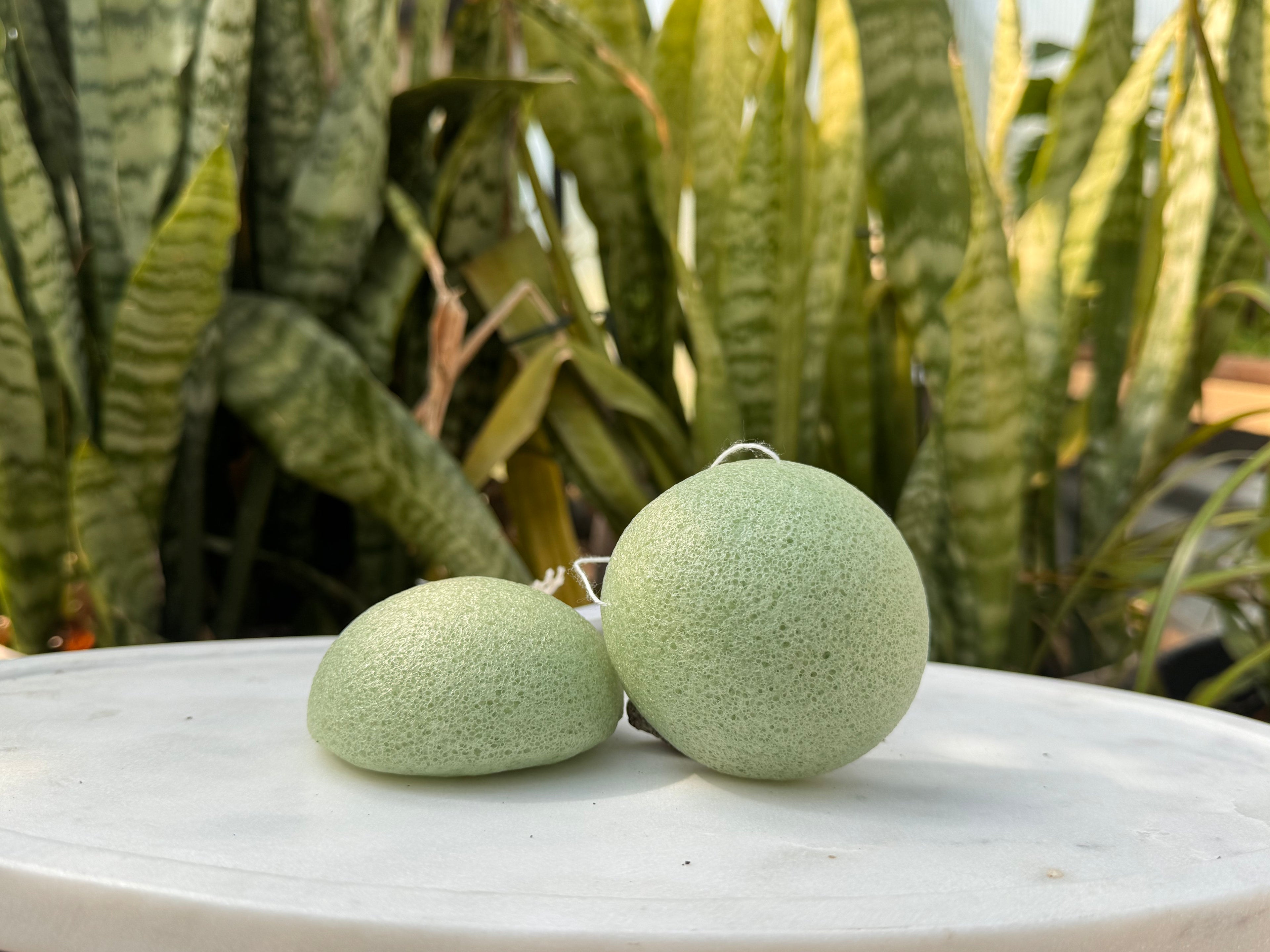 Konjac Sponge