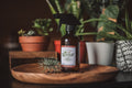 Grounded AF- Room + Pillow Spray